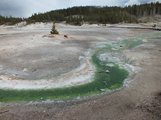 Yellowstone
