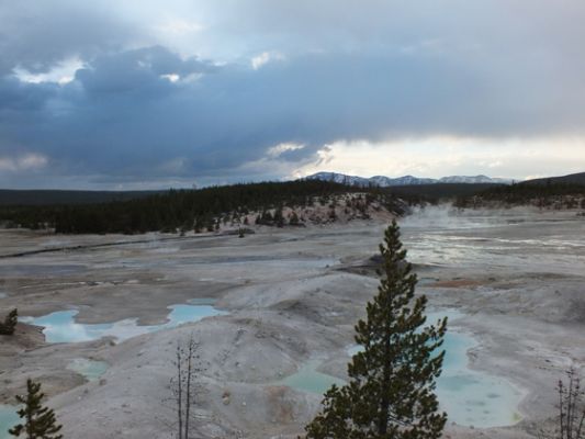 Yellowstone
