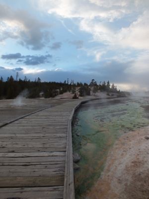 Yellowstone
