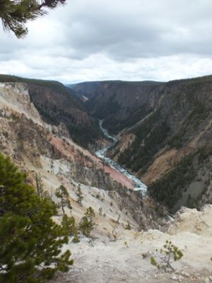 Yellowstone
