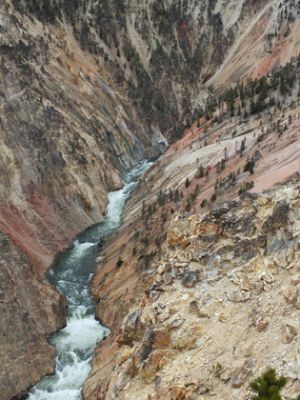 Yellowstone
