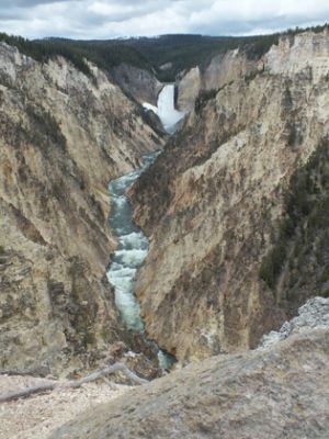 Yellowstone
