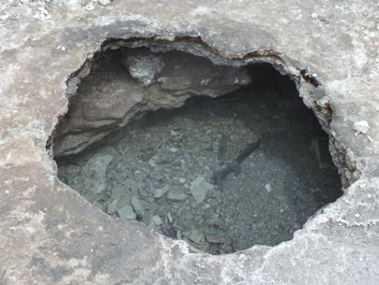 Yellowstone
