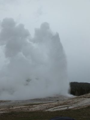 Yellowstone
