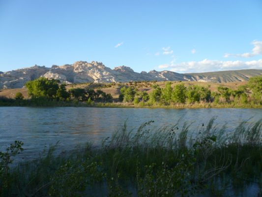 Dinosaur NM
