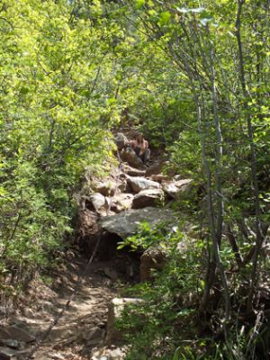 Black Canyon of the Gunnison
