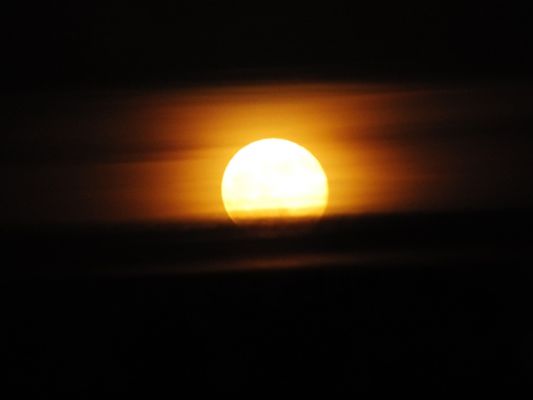 DSCF2221.JPG