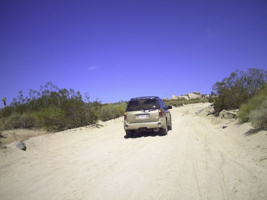 Joshua Tree NP
