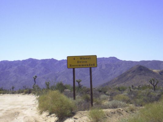 Joshua Tree NP
