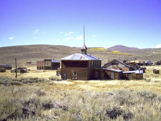 Bodie

