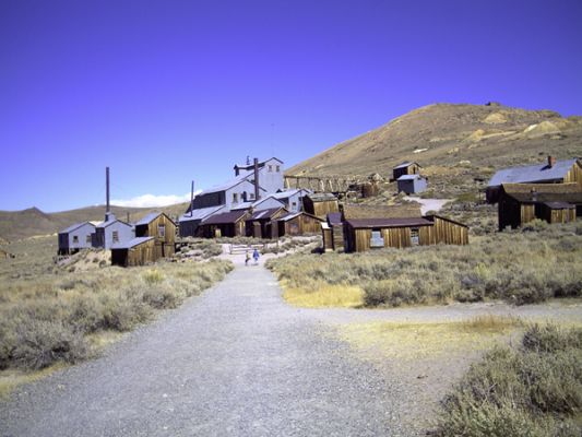 Bodie
