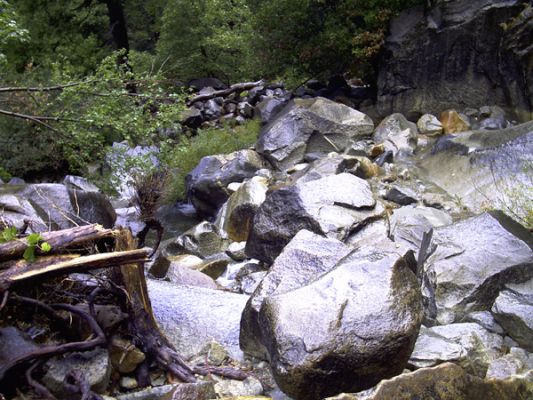 Yosemite NP
