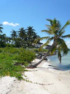 Bahia Honda SP
