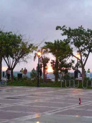P1040194.jpg
