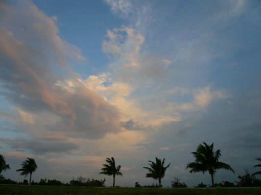 P1040231.jpg