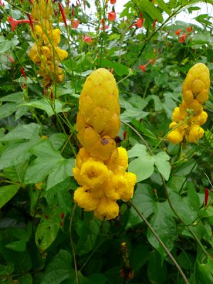 Fruit and Spice Park
