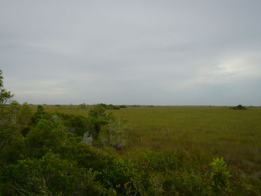 Everglades NP
