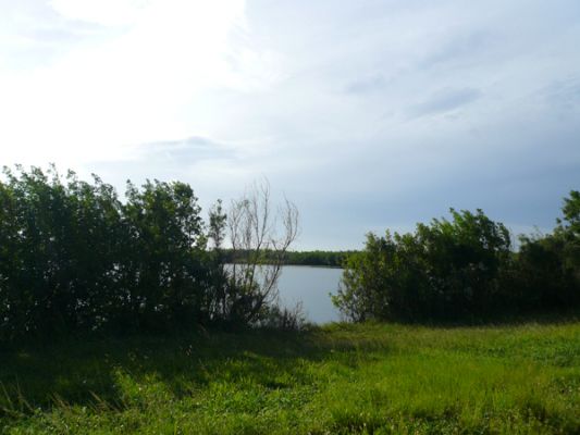 Everglades NP
