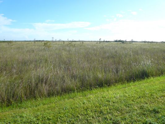 Everglades NP
