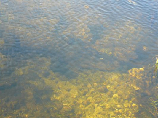 Everglades NP
