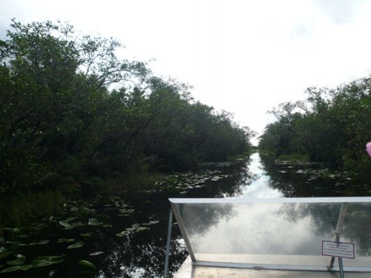 Everglades NP
