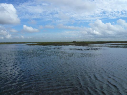 Everglades NP
