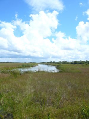 Everglades NP
