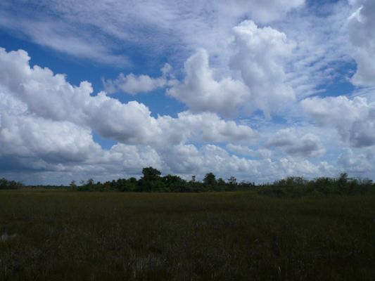 Everglades NP
