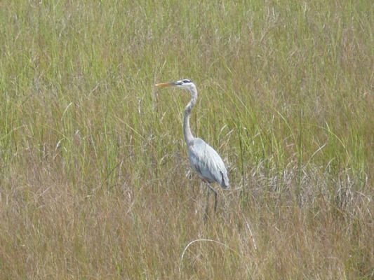 Everglades NP
