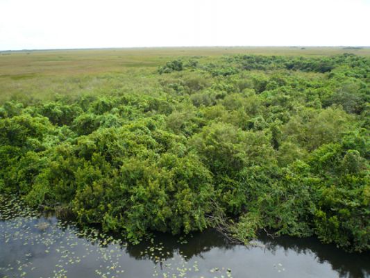 Everglades NP
