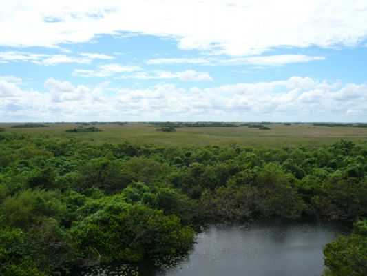 Everglades NP
