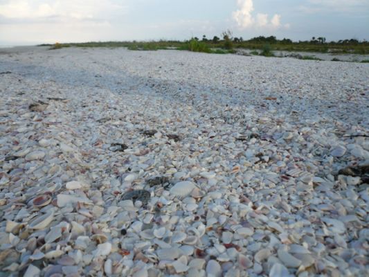 Sanibel Island
