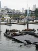 Pier 39 San Francisco