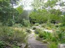 San Francisco (Botanischer Garten)