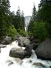 Yosemite NP