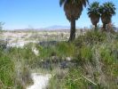 Lake Mead National Recreation Area