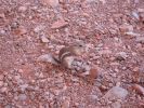 Valley of Fire