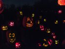 Jack-O-Lantern Spectacular