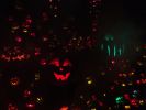 Jack-O-Lantern Spectacular