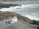 Rockport