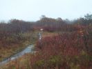Halibut Point SP