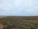 Plum Island