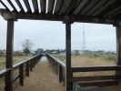 Plum Island