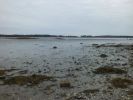 Wolfes Neck SP