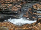 Watkins Glen SP