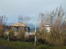 Seneca Lake