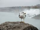 Niagara Falls