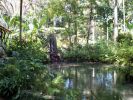 Jamaica Botanical Garden