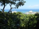 Jamaica Botanical Garden
