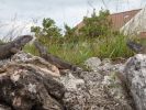 Grand Cayman